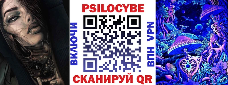 Псилоцибиновые грибы мицелий Купить где Чита